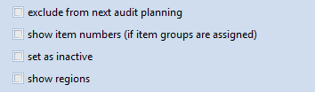 The four options of an Audit Type