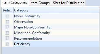 The Item Categories of an Audit Type