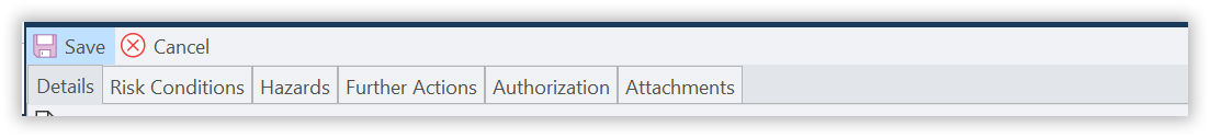 The tabs of an opened Risk Assessment